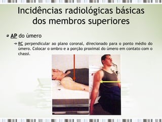 Incidências radiológicas básicas
dos membros superiores
AP
AP do úmero
RC
RC perpendicular ao plano coronal, direcionado para o ponto médio do
úmero. Colocar o ombro e a porção proximal do úmero em contato com o
chassi.
 