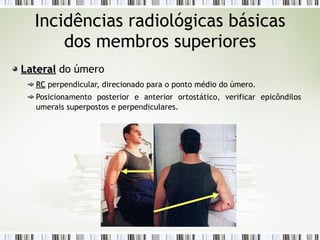 Incidências radiológicas básicas
dos membros superiores
Lateral
Lateral do úmero
RC
RC perpendicular, direcionado para o ponto médio do úmero.
Posicionamento posterior e anterior ortostático, verificar epicôndilos
umerais superpostos e perpendiculares.
 