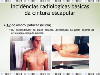 Incidências radiológicas básicas
da cintura escapular
AP
AP do ombro (rotação neutra)
RC
RC perpendicular ao plano coronal, direcionado na parte central da
articulação escápulo-umeral.
 