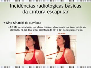 Incidências radiológicas básicas
da cintura escapular
AP
AP e
e AP axial
AP axial da clavícula
RC
RC (1) perpendicular ao plano coronal, direcionado na área média da
clavícula. RC
RC (2) deve estar orientado de 15° a 30° no sentido cefálico.
AP APAxial
1º
1º 2º
2º
15º-30º
15º-30º
 