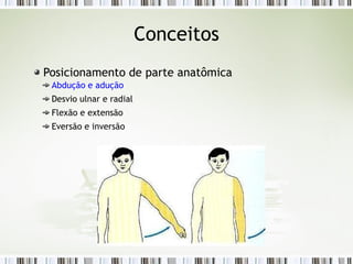 Conceitos
Posicionamento de parte anatômica
Abdução e adução
Desvio ulnar e radial
Flexão e extensão
Eversão e inversão
 
