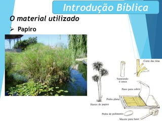 O material utilizado
 Papiro
Introdução Bíblica
 