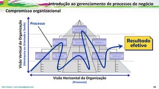 Nicir Chaves | nicir.chaves@gmail.com 64
Compromisso organizacional
Gerência 1
Diretoria 1
Presidência
Processo
Diretoria 2 Diretoria 3
Gerência 2 Gerência 4 Gerência 5
Gerência 3
Resultado
efetivo
Visão Horizontal da Organização
(Processos)
Visão
Vertical
da
Organização
(Hierárquica
ou
Orientada
a
Tarefa)
Introdução ao gerenciamento de processos de negócio
 