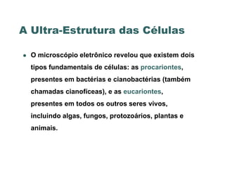 A Ultra-Estrutura das Células

   O microscópio eletrônico revelou que existem dois
    tipos fundamentais de células: as procariontes,
    presentes em bactérias e cianobactérias (também
    chamadas cianofíceas), e as eucariontes,
    presentes em todos os outros seres vivos,
    incluindo algas, fungos, protozoários, plantas e
    animais.
 