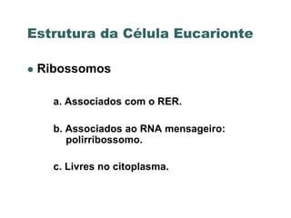 Estrutura da Célula Eucarionte

   Ribossomos

      a. Associados com o RER.

      b. Associados ao RNA mensageiro:
         polirribossomo.

      c. Livres no citoplasma.
 