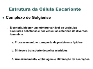 Estrutura da Célula Eucarionte
   Complexo de Golgiense

    –   É constituído por um número variável de vesículas
        circulares achatadas e por vesículas esféricas de diversos
        tamanhos.

         a. Processamento e transporte de proteínas e lipídios.

         b. Síntese e transporte de polissacarídeos.


         c. Armazenamento, embalagem e eliminação de secreções.
 