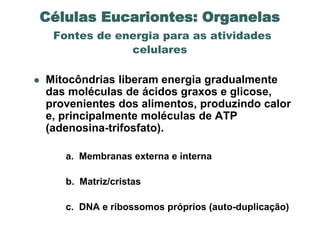Células Eucariontes: Organelas
     Fontes de energia para as atividades
                 celulares

   Mitocôndrias liberam energia gradualmente
    das moléculas de ácidos graxos e glicose,
    provenientes dos alimentos, produzindo calor
    e, principalmente moléculas de ATP
    (adenosina-trifosfato).

       a. Membranas externa e interna

       b. Matriz/cristas

       c. DNA e ribossomos próprios (auto-duplicação)
 