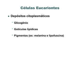 Células Eucariontes

   Depósitos citoplasmáticos

    • Glicogênio
    • Gotículas lipídicas
    • Pigmentos (ex: melanina e lipofuscina)
 
