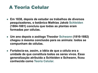 A Teoria Celular

   Em 1838, depois de estudar os trabalhos de diversos
    pesquisadores, o botânico Mathias Jakob Schleiden
    (1804-1881) concluiu que todas as plantas eram
    formadas por células.

   Um ano depois o zoólogo Theodor Schwann (1810-1882)
    chegou à mesma conclusão para os animais: todos se
    compunham de células.

   Fortalecia-se, assim, a idéia de que a célula era a
    unidade de que constituía todos os seres vivos. Essa
    generalização atribuída a Schleiden e Schwann, ficou
    conhecida como Teoria Celular.
 