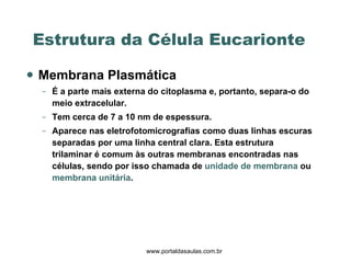 Membrana Plasmática  É a parte mais externa do citoplasma e, portanto, separa-o do meio extracelular. Tem cerca de 7 a 10 nm de espessura. Aparece nas eletrofotomicrografias como duas linhas escuras separadas por uma linha central clara. Esta estrutura trilaminar é comum às outras membranas encontradas nas células, sendo por isso chamada de  unidade de membrana  ou  membrana unitária .  Estrutura da Célula Eucarionte  www.portaldasaulas.com.br 