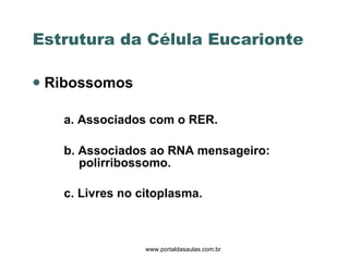 Ribossomos a.   Associados com o RER.  b. Associados ao RNA mensageiro:  polirribossomo.  c. Livres no citoplasma. Estrutura da Célula Eucarionte  www.portaldasaulas.com.br 