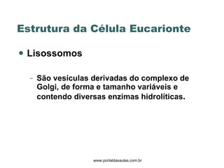 Lisossomos São vesículas derivadas do complexo de Golgi, de forma e tamanho variáveis e contendo diversas enzimas hidrolíticas .  Estrutura da Célula Eucarionte  www.portaldasaulas.com.br 