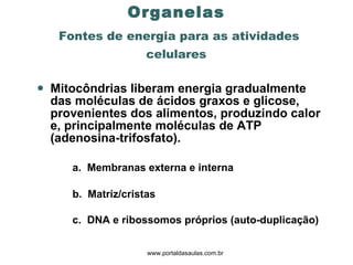 Células Eucariontes: Organelas   Fontes de energia para as atividades celulares Mitocôndrias liberam energia gradualmente das moléculas de ácidos graxos e glicose, provenientes dos alimentos, produzindo calor e, principalmente moléculas de ATP (adenosina-trifosfato).  a.  Membranas externa e interna  b.  Matriz/cristas  c.  DNA e ribossomos próprios (auto-duplicação)   www.portaldasaulas.com.br 