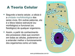 Segundo a teoria celular, a célula é a  unidade morfofisiológica  dos seres vivos. Em outras palavras, ela é o bloco básico estrutural (ou morfológico) e funcional (ou fisiológico) de qualquer organismo. Assim, a partir do conhecimento dos processos vitais que ocorrem em todas as células, poderemos vir a entender melhor o funcionamento dos organismos como um todo. A Teoria Celular www.portaldasaulas.com.br 