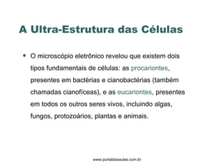 A Ultra-Estrutura das Células www.portaldasaulas.com.br O microscópio eletrônico revelou que existem dois tipos fundamentais de células: as  procariontes , presentes em bactérias e cianobactérias (também chamadas cianofíceas), e as  eucariontes , presentes em todos os outros seres vivos, incluindo algas, fungos, protozoários, plantas e animais. 