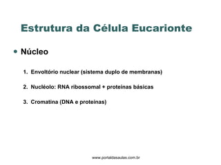 Estrutura da Célula Eucarionte  Núcleo  1.  Envoltório nuclear (sistema duplo de membranas)  2.  Nucléolo: RNA ribossomal + proteínas básicas 3.  Cromatina (DNA e proteínas) www.portaldasaulas.com.br 