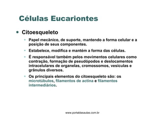 Células Eucariontes Citoesqueleto Papel mecânico, de suporte, mantendo a forma celular e a posição de seus componentes. Estabelece, modifica e mantém a forma das células. É responsável também pelos movimentos celulares como contração, formação de pseudópodos e deslocamentos intracelulares de organelas, cromossomos, vesículas e grânulos diversos. Os principais elementos do citoesqueleto são: os  microtúbulos ,  filamentos de actina  e  filamentos intermediários . www.portaldasaulas.com.br 