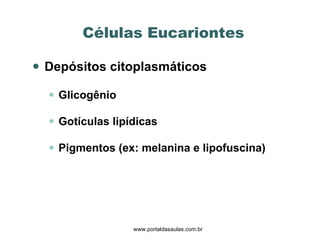 Células Eucariontes  Depósitos citoplasmáticos Glicogênio Gotículas lipídicas Pigmentos (ex: melanina e lipofuscina) www.portaldasaulas.com.br 