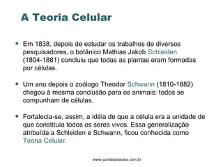 www.portaldasaulas.com.br Em 1838, depois de estudar os trabalhos de diversos pesquisadores, o botânico Mathias Jakob  Schleiden  (1804-1881) concluiu que todas as plantas eram formadas por células.  Um ano depois o zoólogo Theodor  Schwann  (1810-1882) chegou à mesma conclusão para os animais: todos se compunham de células.  Fortalecia-se, assim, a idéia de que a célula era a unidade de que constituía todos os seres vivos. Essa generalização atribuída a Schleiden e Schwann, ficou conhecida como  Teoria Celular. A Teoria Celular 