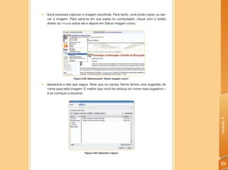 „   Você precisará capturar a imagem escolhida. Para tanto, você pode copiar ou sal-
    var a imagem. Para salvá-la em sua pasta no computador, clique com o botão
    direito do mouse sobre ela e depois em Salvar imagem como.




                     Figura 4.29: Selecionando “Salvar imagem como”.

„   Aparecerá a tela que segue. Note que no campo Nome temos uma sugestão de
    nome para esta imagem. É melhor que você lhe atribua um nome mais sugestivo –
    é só começar a escrever.




                                                                                       Unidade 4
                              Figura 4.30: Salvando a figura.



                                                                                       151
 