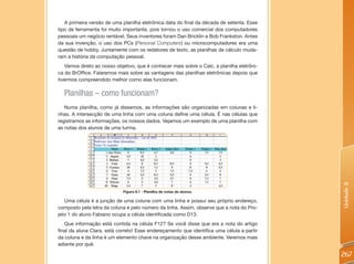 A primeira versão de uma planilha eletrônica data do final da década de setenta. Esse
tipo de ferramenta foi muito importante, pois tornou o uso comercial dos computadores
pessoais um negócio rentável. Seus inventores foram Dan Bricklin e Bob Frankston. Antes
da sua invenção, o uso dos PCs (Personal Computers) ou microcomputadores era uma
questão de hobby. Juntamente com os redatores de texto, as planilhas de cálculo muda-
ram a história da computação pessoal.
   Vamos direto ao nosso objetivo, que é conhecer mais sobre o Calc, a planilha eletrôni-
ca do BrOffice. Falaremos mais sobre as vantagens das planilhas eletrônicas depois que
tivermos compreendido melhor como elas funcionam.

  Planilhas – como funcionam?
   Numa planilha, como já dissemos, as informações são organizadas em colunas e li-
nhas. A intersecção de uma linha com uma coluna define uma célula. É nas células que
registramos as informações, os nossos dados. Vejamos um exemplo de uma planilha com
as notas dos alunos de uma turma.




                                                                                            Unidade 8
                             Figura 8.1 - Planilha de notas de alunos.

   Uma célula é a junção de uma coluna com uma linha e possui seu próprio endereço,
composto pela letra da coluna e pelo número da linha. Assim, observe que a nota do Pro-
jeto 1 do aluno Fabiano ocupa a célula identificada como D13.
   Que informação está contida na célula F12? Se você disse que era a nota do artigo
final da aluna Clara, está correto! Esse endereçamento que identifica uma célula a partir
da coluna e da linha é um elemento chave na organização desse ambiente. Veremos mais
adiante por quê.

                                                                                            267
 