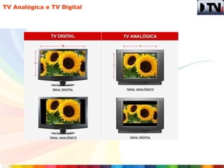 TV Analógica e TV Digital
 