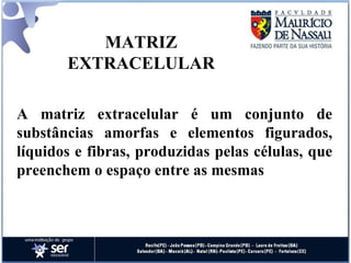 MATRIZ EXTRACELULAR A matriz extracelular é um conjunto de substâncias amorfas e elementos figurados, líquidos e fibras, produzidas pelas células, que preenchem o espaço entre as mesmas 