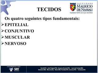 TECIDOS Os quatro seguintes tipos fundamentais: EPITELIAL CONJUNTIVO MUSCULAR  NERVOSO 