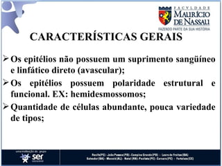 CARACTERÍSTICAS GERAIS Os epitélios não possuem um suprimento sangüíneo e linfático direto (avascular); Os epitélios possuem polaridade estrutural e funcional. EX: hemidesmossomos; Quantidade de células abundante, pouca variedade de tipos; 