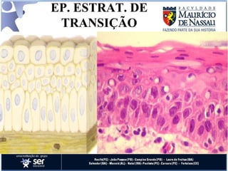 EP. ESTRAT. DE TRANSIÇÃO 