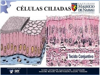 CÉLULAS CILIADAS 