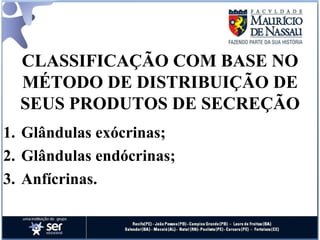 CLASSIFICAÇÃO COM BASE NO MÉTODO DE DISTRIBUIÇÃO DE SEUS PRODUTOS DE SECREÇÃO Glândulas exócrinas; Glândulas endócrinas; Anfícrinas.  