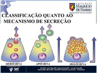 CLASSIFICAÇÃO QUANTO AO MECANISMO DE SECREÇÃO 