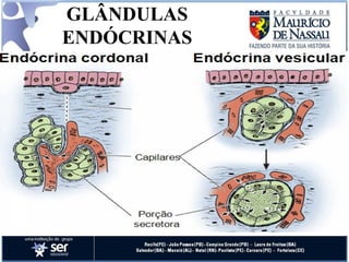 GLÂNDULAS ENDÓCRINAS 