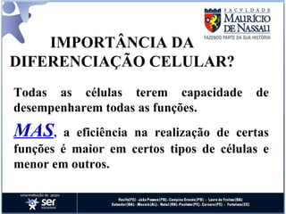 IMPORTÂNCIA DA DIFERENCIAÇÃO CELULAR? Todas as células terem capacidade de desempenharem todas as funções. MAS ,  a eficiência na realização de certas funções é maior em certos tipos de células e menor em outros. 