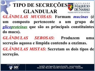 TIPO DE SECREÇÕES GLANDULAR GLÂNDULAS MUCOSAS :  Formam  mucinas  (é um composto pertencente a um grupo de  glico proteínas  que são as principais constituintes do muco).  GLÂNDULAS SEROSAS :  Produzem uma secreção aquosa e límpida contendo a enzimas. GLÂNDULAS MISTAS :  Secretam os dois tipos de secreção. 