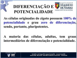 DIFERENCIAÇÃO E POTENCIALIDADE As células originadas do zigoto possuem  100% de potencialidade  e grau  zero de diferenciação , sendo, portanto, pluripotentes.  A maioria das células, adultas, tem graus intermediários de diferenciação e potencialidade. 