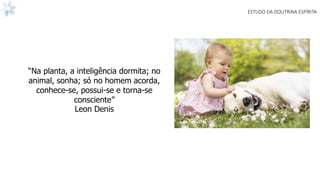 ESTUDO DA DOUTRINA ESPÍRITA
“Na planta, a inteligência dormita; no
animal, sonha; só no homem acorda,
conhece-se, possui-se e torna-se
consciente”
Leon Denis
 