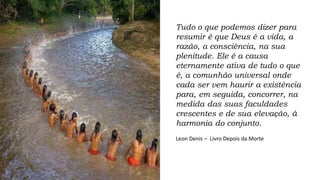 Tudo o que podemos dizer para
resumir é que Deus é a vida, a
razão, a consciência, na sua
plenitude. Ele é a causa
eternamente ativa de tudo o que
é, a comunhão universal onde
cada ser vem haurir a existência
para, em seguida, concorrer, na
medida das suas faculdades
crescentes e de sua elevação, à
harmonia do conjunto.
Leon Denis – Livro Depois da Morte
 