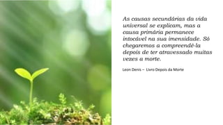 As causas secundárias da vida
universal se explicam, mas a
causa primária permanece
intocável na sua imensidade. Só
chegaremos a compreendê-la
depois de ter atravessado muitas
vezes a morte.
Leon Denis – Livro Depois da Morte
 