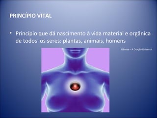 PRINCÍPIO VITAL

• Princípio que dá nascimento à vida material e orgânica
  de todos os seres: plantas, animais, homens
                                            Gênese – A Criação Universal
 