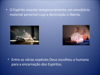 • O Espírito reveste temporariamente um envoltório
  material perecível cuja a destruição o liberta.




• Entre as várias espécies Deus escolheu a humana
  para a encarnação dos Espíritos.
 
