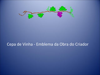 Cepa de Vinha - Emblema da Obra do Criador
 