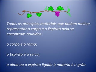 Todos os princípios materiais que podem melhor
representar o corpo e o Espírito nela se
encontram reunidos:

o corpo é o ramo;

o Espírito é a seiva;

a alma ou o espírito ligado à matéria é o grão.
 