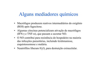 Alguns mediadores químicos
•  Macrófagos produzem reativos intermediários do oxigênio
   (ROI) após fagocitose.
•  Algumas citocinas potencializam ativação de macrófagos
   (IFN-γ e TNF-α), que passam a secretar NO.
•  O NO contribui para resistência do hospedeiro na maioria
   das infecções parasitárias, incluindo leishmaniose,
   esquistossomose e malária.
•  Neutrófilos liberam H2O2 para destruição extracelular.
 