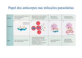 Papel dos anticorpos nas infecções parasitárias
 