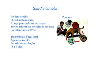 Giardia lamblia

Epidemiologia:                          Zoonose
Distribuição mundial
Atinge principalmente crianças
Surtos epidêmicos veiculados por água
Prevalência (5 a 35%)

Transmissão: Fecal Oral
Àgua e alimentos
Período de incubação
(3 a 7 dias)
 