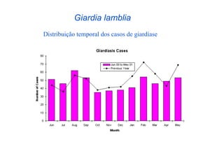 Giardia lamblia
Distribuição temporal dos casos de giardíase
 