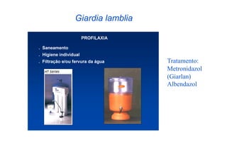 Giardia lamblia



                  Tratamento:
                  Metronidazol
                  (Giarlan)
                  Albendazol
 