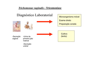 Trichomonas vaginalis - Tricomoníase

    Diagnóstico Laboratorial            Microorganismo móvel
                                        Exame direto
                                        Preparação corada



                                         Cultivo
-Secreção   -Urina de                    (lento)
vaginal     primeiro jato
            matinal
            -Secreção
            uretral
 